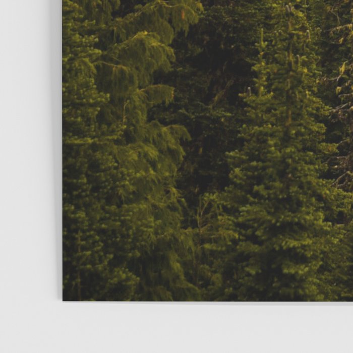 Mount Rainier Alpine Lake Poster Gallery Image 3