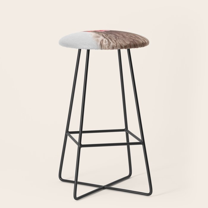 Chicken - Colorful Stool Gallery Image 1