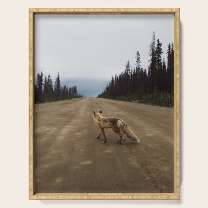 Road Fox Serving Tray Gallery Image 1