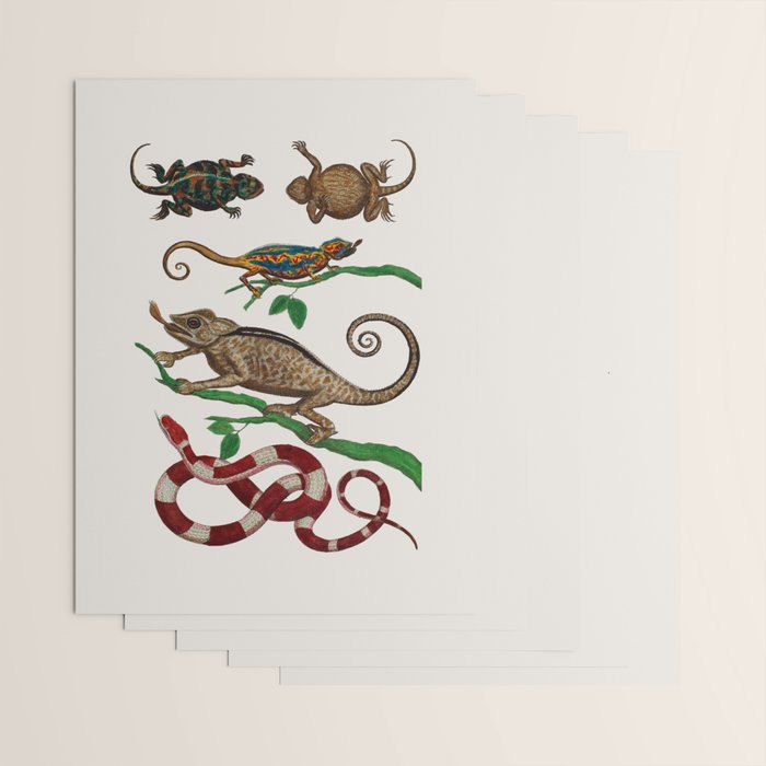 Albertus Seba Iguana And Snakes Wrapping Paper Gallery Image 3