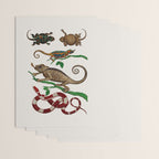 Albertus Seba Iguana And Snakes Wrapping Paper Gallery Image 3