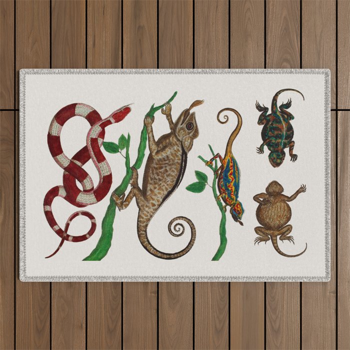 Albertus Seba Iguana And Snakes Outdoor Rug Gallery Image 1