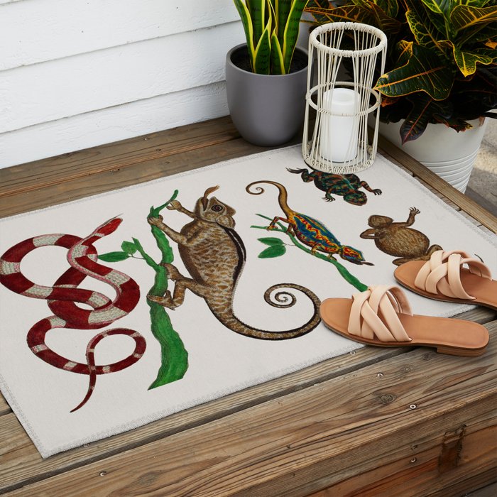 Albertus Seba Iguana And Snakes Outdoor Rug Gallery Image 2