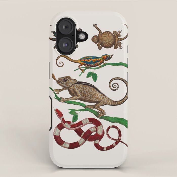Albertus Seba Iguana And Snakes iPhone Case Gallery Image 1