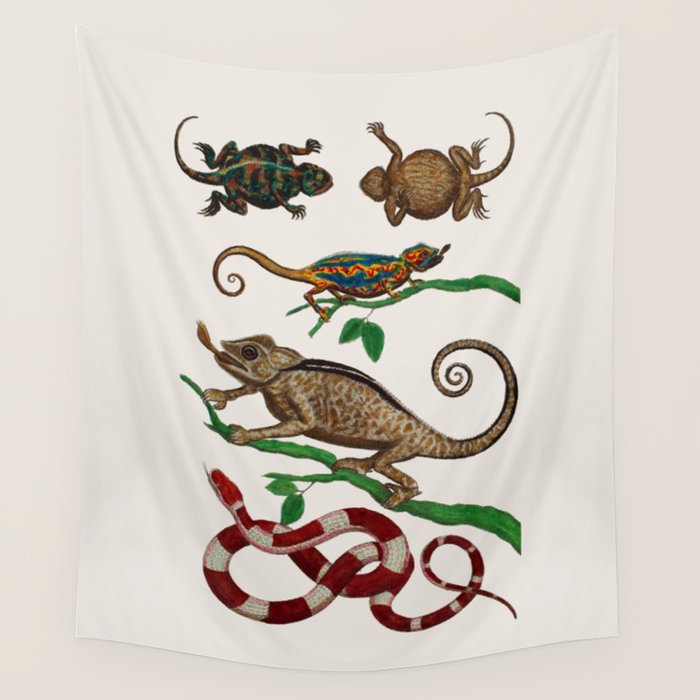 Albertus Seba Iguana And Snakes Wall Tapestry Gallery Image 1