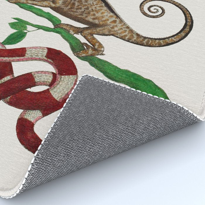 Albertus Seba Iguana And Snakes Rug Gallery Image 4