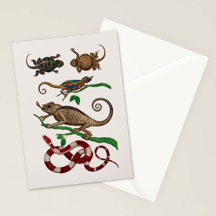 Albertus Seba Iguana And Snakes Stationery Card Gallery Image 2
