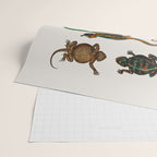 Albertus Seba Iguana And Snakes Wrapping Paper Gallery Image 2
