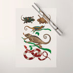 Albertus Seba Iguana And Snakes Wrapping Paper Gallery Image 1