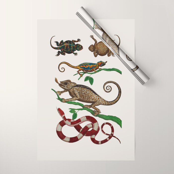 Albertus Seba Iguana And Snakes Wrapping Paper Gallery Image 1