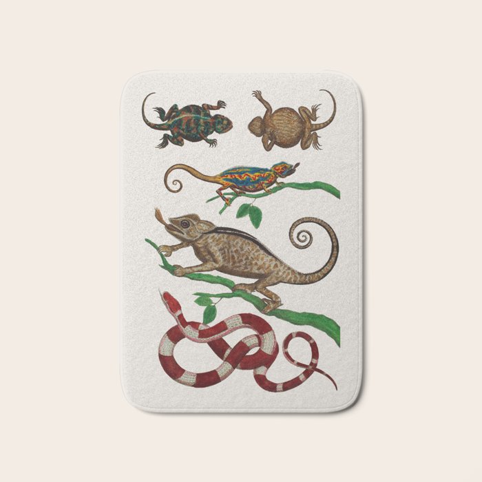 Albertus Seba Iguana And Snakes Bath Mat Gallery Image 1