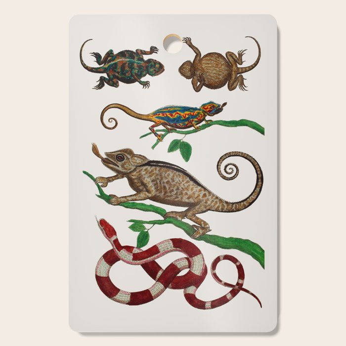 Albertus Seba Iguana And Snakes Cutting Board Gallery Image 1