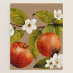 Apples Botanical Art 2 Jigsaw Puzzle Gallery Image 1