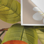 Apples Botanical Art 2 Wall Tapestry Gallery Image 3