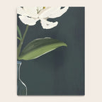 A flower in a vase Notebook Gallery Image 4