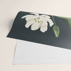 A flower in a vase Wrapping Paper Gallery Image 2