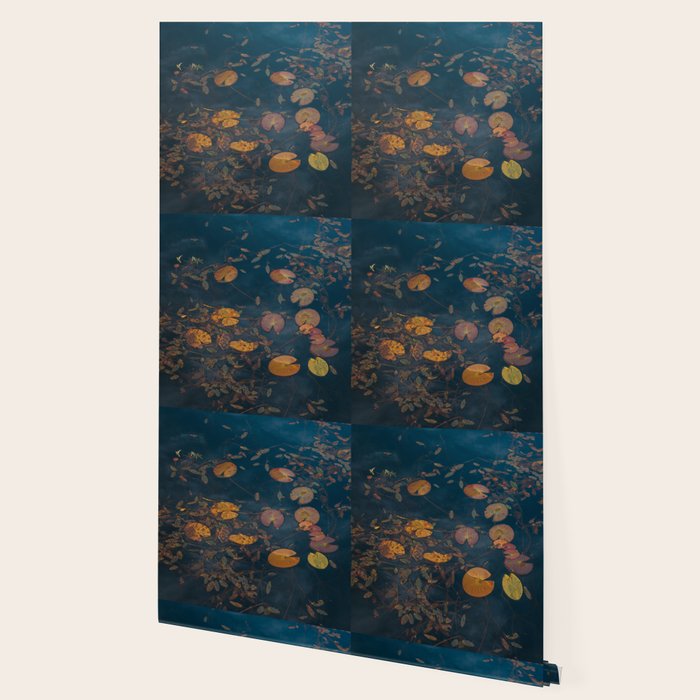 Autumn Moment - Landscape and Nature Photography Wallpaper Gallery Image 2