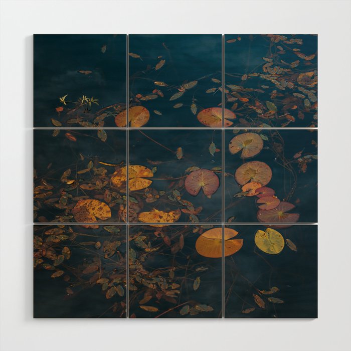 Autumn Moment - Landscape and Nature Photography Wood Wall Art Gallery Image 1