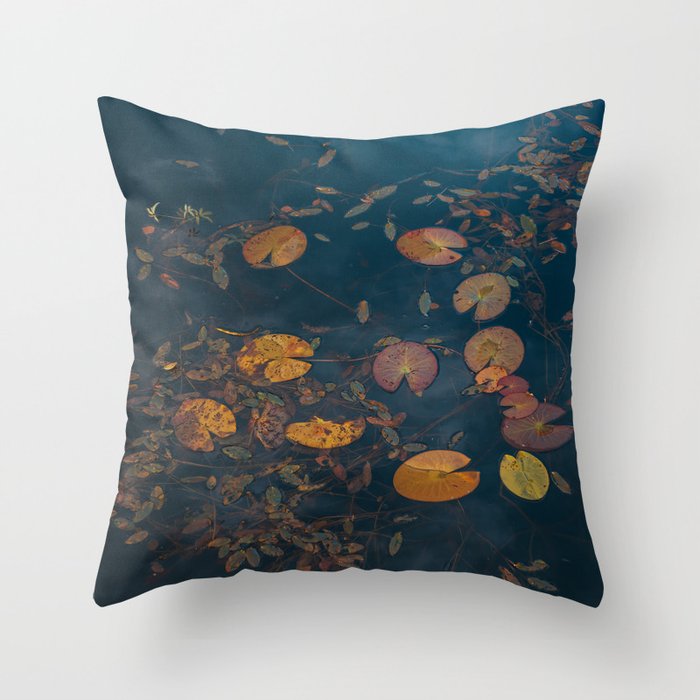 Autumn Moment - Landscape and Nature Photography Throw Pillow Gallery Image 1