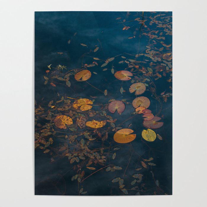 Autumn Moment - Landscape and Nature Photography Poster