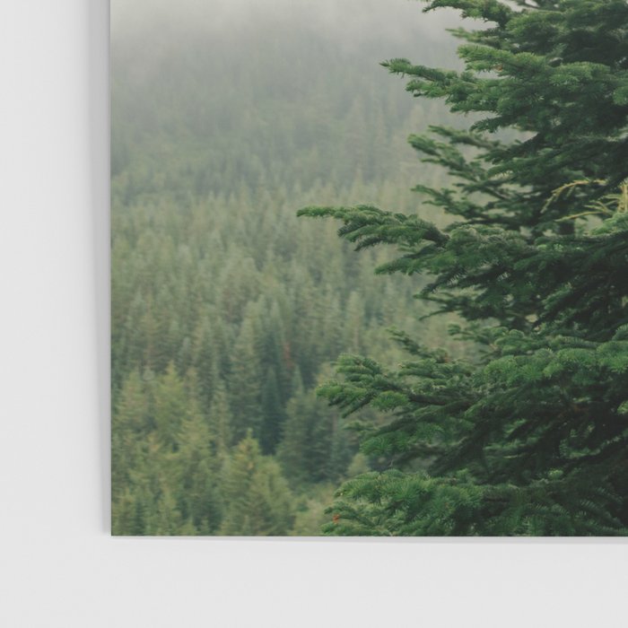 Single Tree Poster Gallery Image 3