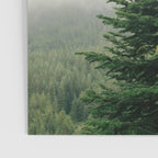 Single Tree Poster Gallery Image 3