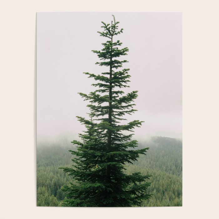 Single Tree Poster Gallery Image 4