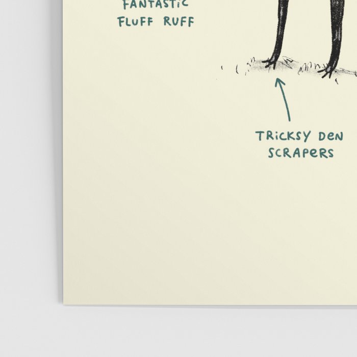 Anatomy of a Fox Poster Gallery Image 3