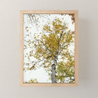 autumn maple tree - fall color nature photograph Mini Art Print Gallery Image 1