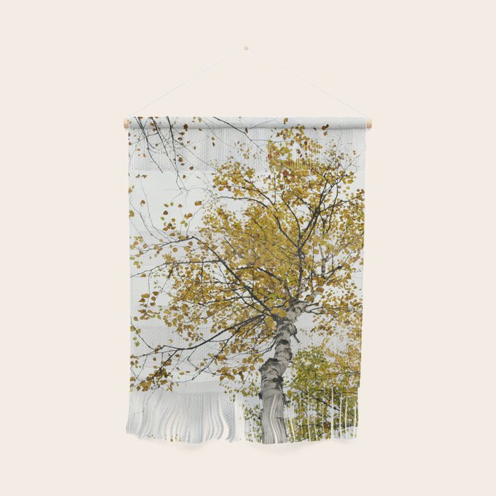 autumn maple tree - fall color nature photograph Wall Hanging Gallery Image 1
