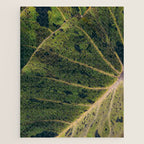 Elephant Ear Photo Study Jigsaw Puzzle Gallery Image 1