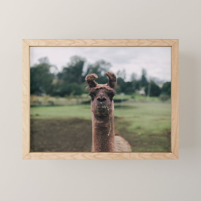 Rosabell Mini Art Print Gallery Image 1