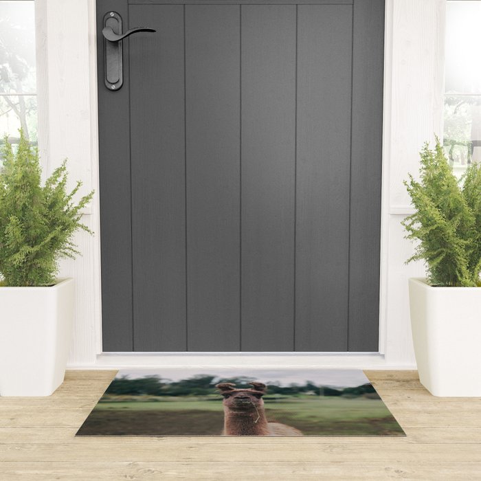 Rosabell Welcome Mat Gallery Image 3