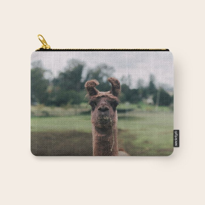 Rosabell Carry All Pouch Gallery Image 1