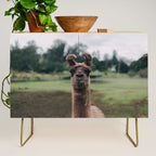 Rosabell Credenza Gallery Image 1