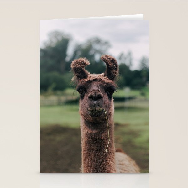 Rosabell Stationery Card Gallery Image 1