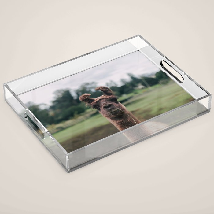 Rosabell Acrylic Tray Gallery Image 1