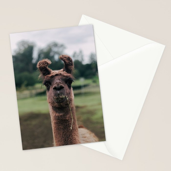 Rosabell Stationery Card Gallery Image 2