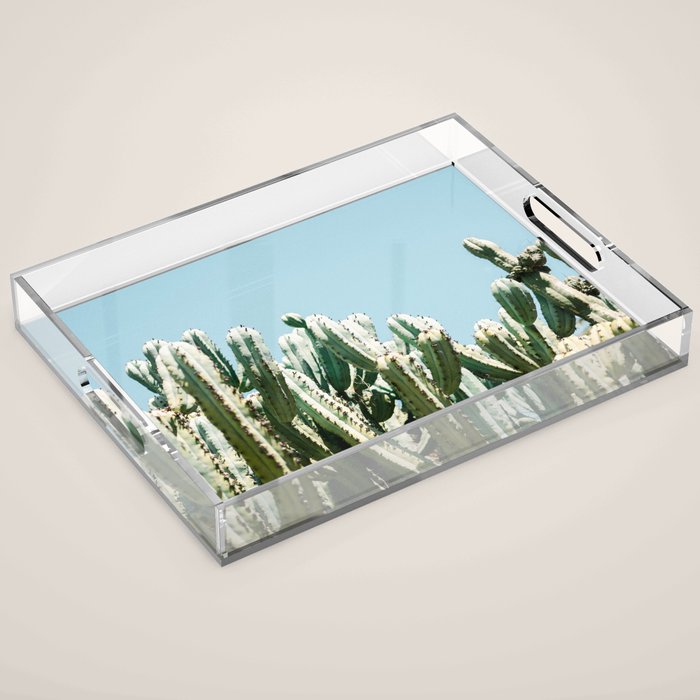 Tall cacti | Cactus photo print | Colourful travel wanderlust photography art Acrylic Tray Gallery Image 1