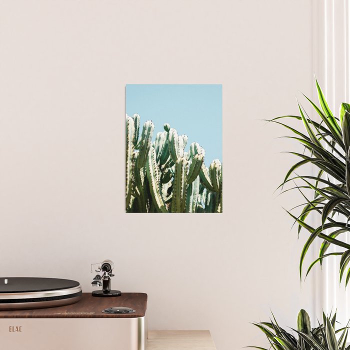 Tall cacti | Cactus photo print | Colourful travel wanderlust photography art Poster Gallery Image 2