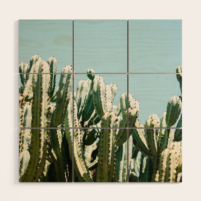 Tall cacti | Cactus photo print | Colourful travel wanderlust photography art Wood Wall Art Gallery Image 1