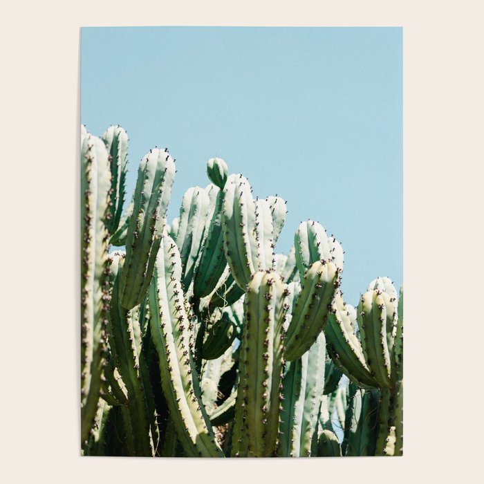 Tall cacti | Cactus photo print | Colourful travel wanderlust photography art Poster Gallery Image 4