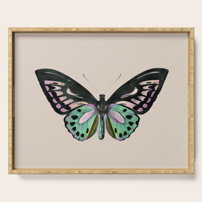 Funky Butterfly Serving Tray Gallery Image 1