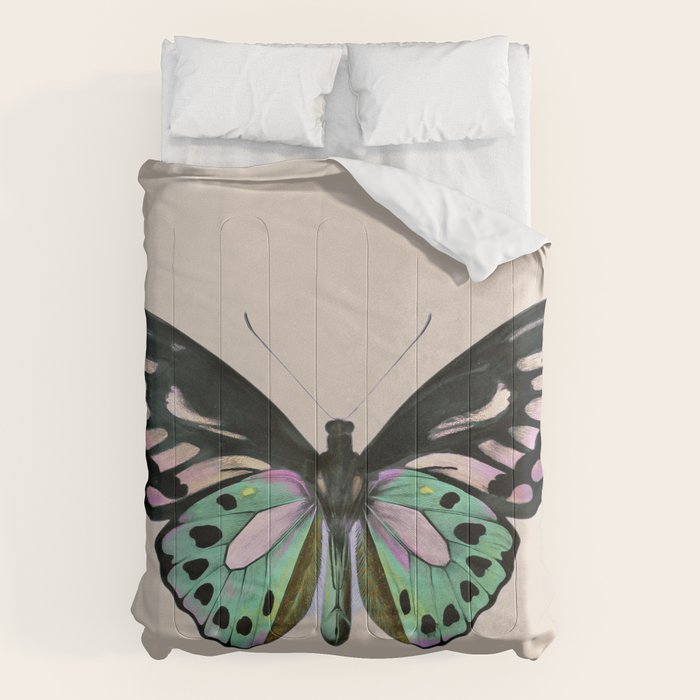 Funky Butterfly Comforter Gallery Image 6