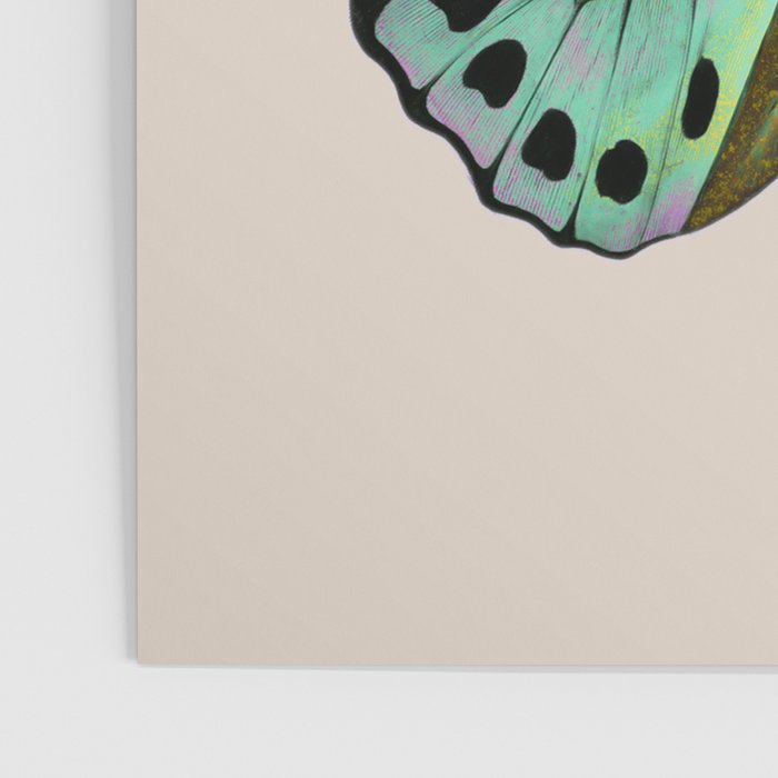 Funky Butterfly Poster Gallery Image 3