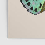 Funky Butterfly Poster Gallery Image 3