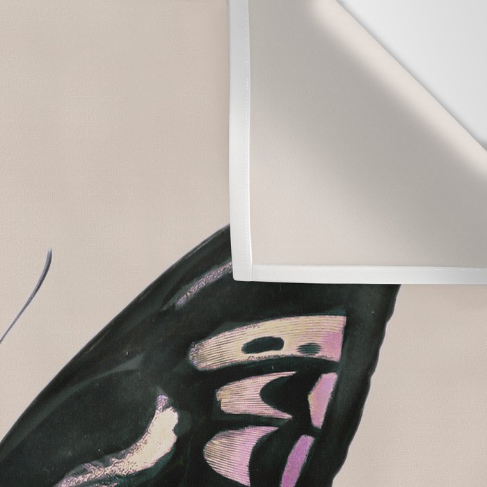 Funky Butterfly Wall Tapestry Gallery Image 3