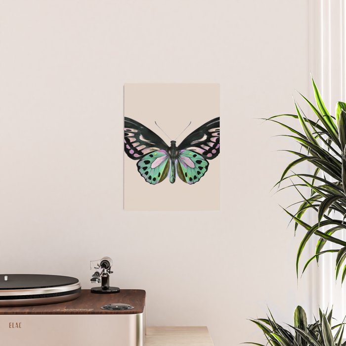 Funky Butterfly Poster Gallery Image 2