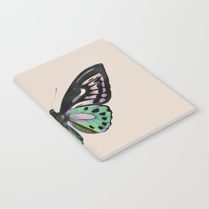 Funky Butterfly Notebook Gallery Image 2