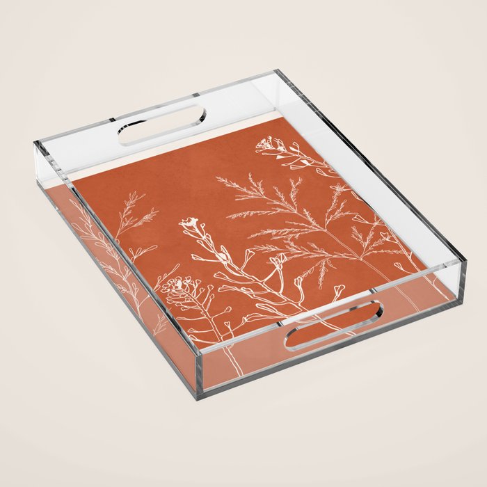 Minimalist Grass 3 Acrylic Tray Gallery Image 1